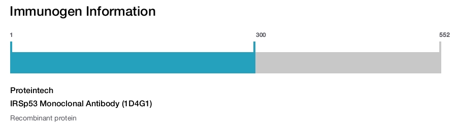 IRSp53 Monoclonal Antibody (1D4G1)