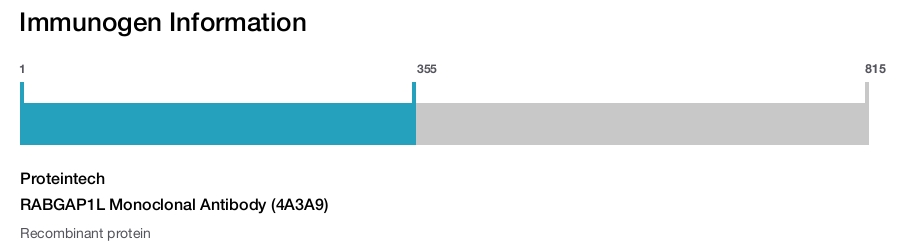 RABGAP1L Monoclonal Antibody (4A3A9)