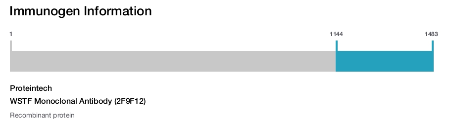 WSTF Monoclonal Antibody (2F9F12)