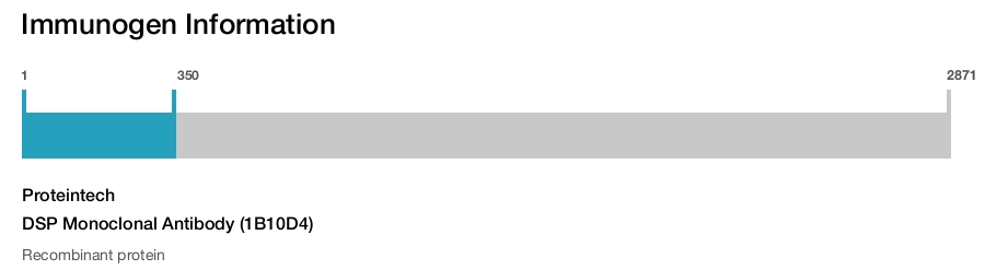 DSP Monoclonal Antibody (1B10D4)