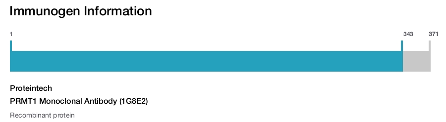 PRMT1 Monoclonal Antibody (1G8E2)