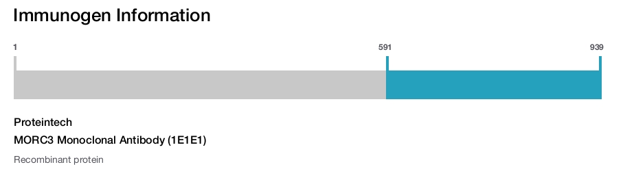MORC3 Monoclonal Antibody (1E1E1)