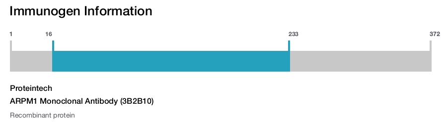 ARPM1 Monoclonal Antibody (3B2B10)