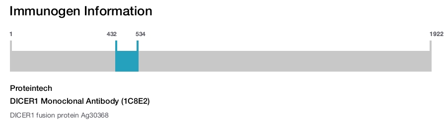 DICER1 Monoclonal Antibody (1C8E2)