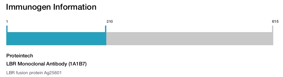 LBR Monoclonal Antibody (1A1B7)