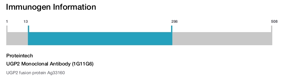 UGP2 Monoclonal Antibody (1G11G6)
