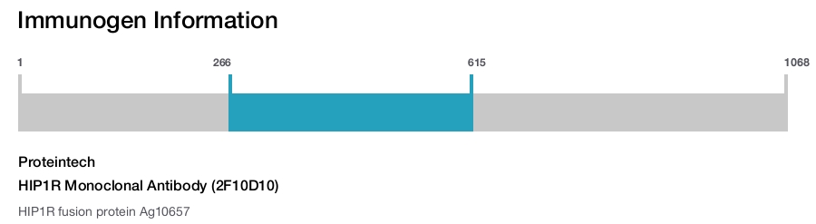 HIP1R Monoclonal Antibody (2F10D10)