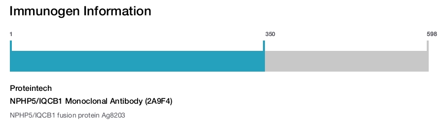 NPHP5/IQCB1 Monoclonal Antibody (2A9F4)