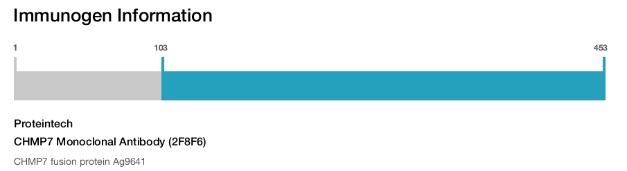 CHMP7 Monoclonal Antibody (2F8F6)