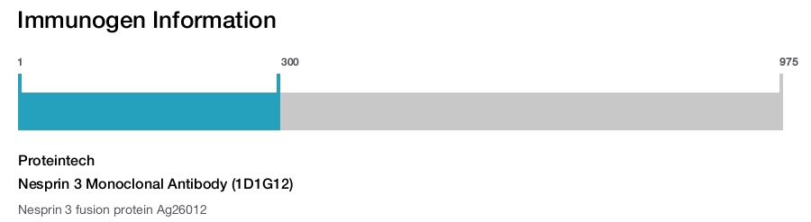 Nesprin 3 Monoclonal Antibody (1D1G12)