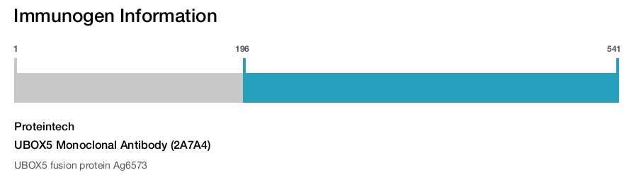 UBOX5 Monoclonal Antibody (2A7A4)