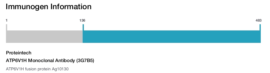 ATP6V1H Monoclonal Antibody (3G7B5)