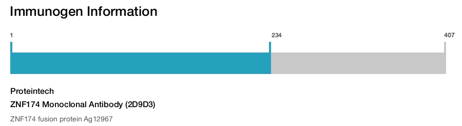 ZNF174 Monoclonal Antibody (2D9D3)
