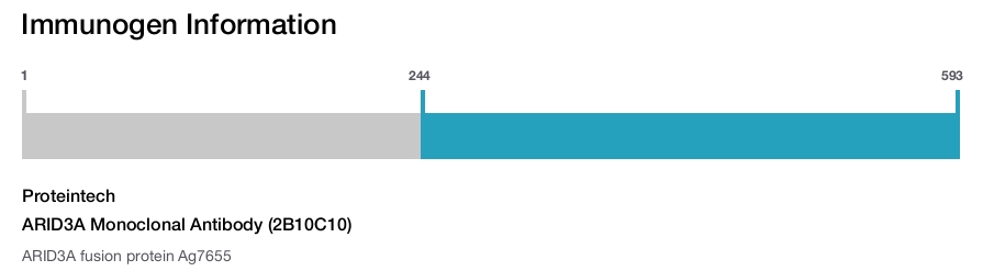 ARID3A Monoclonal Antibody (2B10C10)