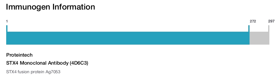 STX4 Monoclonal Antibody (4D6C3)