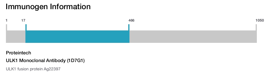 ULK1 Monoclonal Antibody (1D7G1)