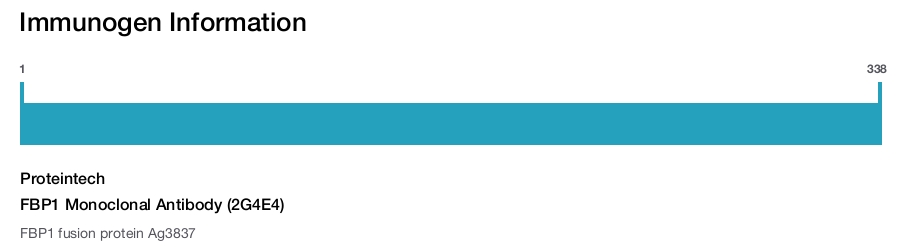 FBP1 Monoclonal Antibody (2G4E4)