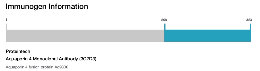 Aquaporin 4 Monoclonal Antibody (3G7D3)