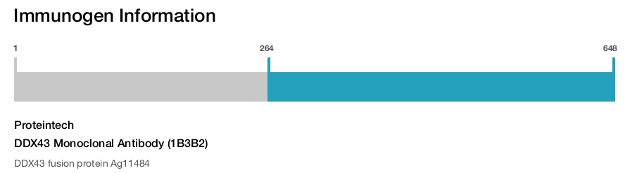 DDX43 Monoclonal Antibody (1B3B2)