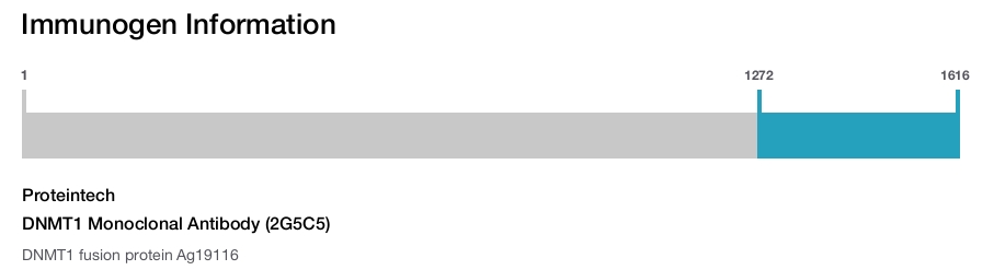 DNMT1 Monoclonal Antibody (2G5C5)