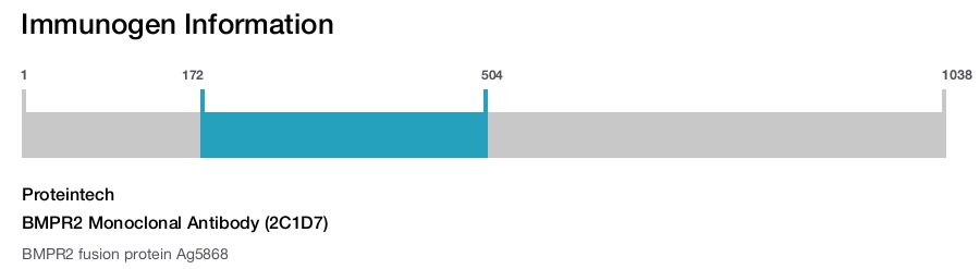 BMPR2 Monoclonal Antibody (2C1D7)