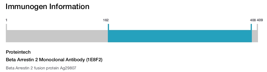 Beta Arrestin 2 Monoclonal Antibody (1E8F2)