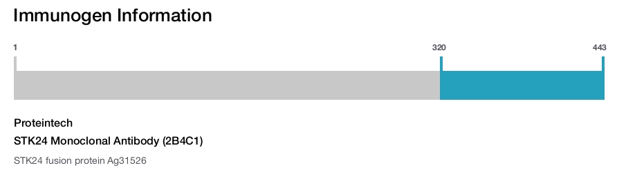 STK24 Monoclonal Antibody (2B4C1)
