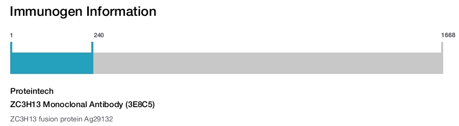 ZC3H13 Monoclonal Antibody (3E8C5)