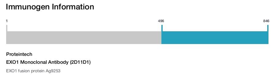 EXO1 Monoclonal Antibody (2D11D1)