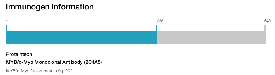 MYB/c-Myb Monoclonal Antibody (2C4A5)