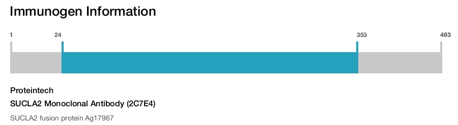 SUCLA2 Monoclonal Antibody (2C7E4)