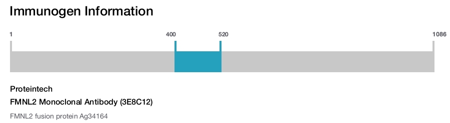 FMNL2 Monoclonal Antibody (3E8C12)