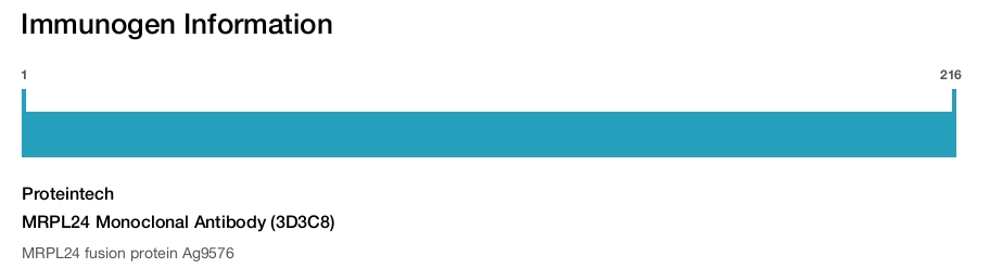 MRPL24 Monoclonal Antibody (3D3C8)