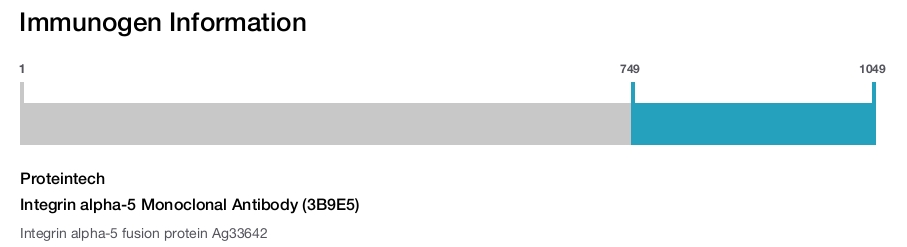 Integrin alpha-5 Monoclonal Antibody (3B9E5)