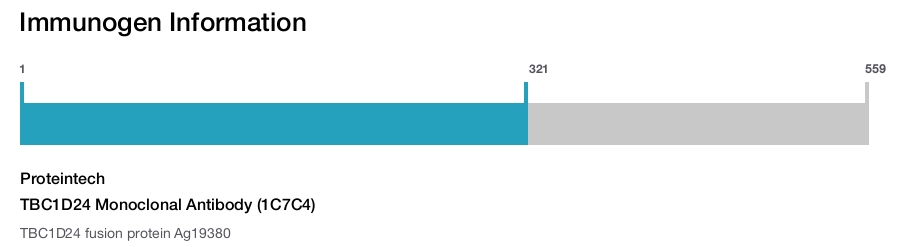 TBC1D24 Monoclonal Antibody (1C7C4)
