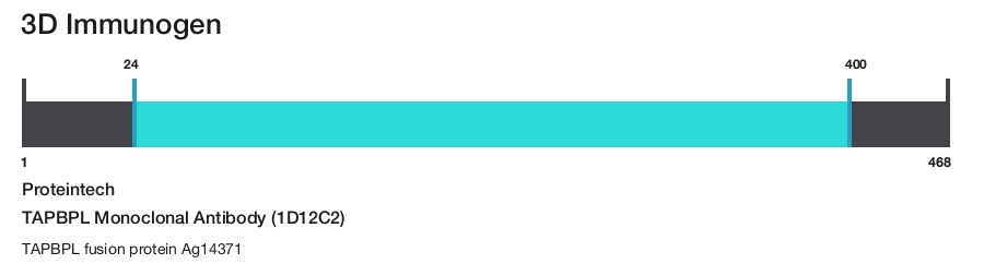 TAPBPL Monoclonal Antibody (1D12C2)
