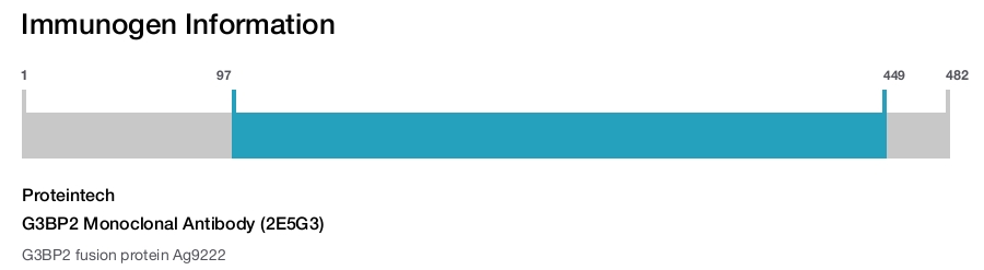 G3BP2 Monoclonal Antibody (2E5G3)
