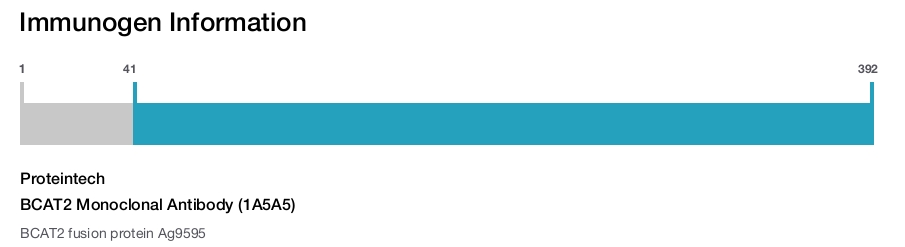 BCAT2 Monoclonal Antibody (1A5A5)