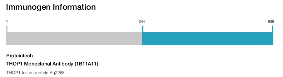 THOP1 Monoclonal Antibody (1B11A11)