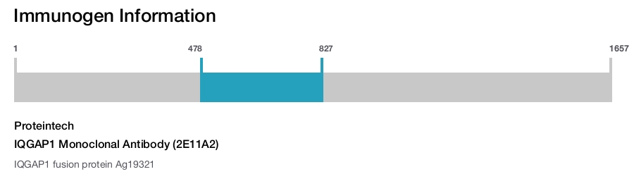 IQGAP1 Monoclonal Antibody (2E11A2)
