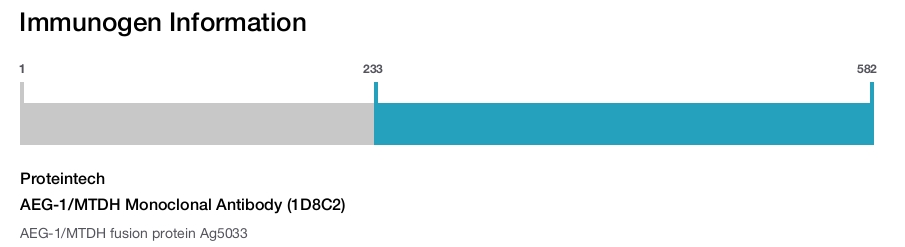 AEG-1/MTDH Monoclonal Antibody (1D8C2)