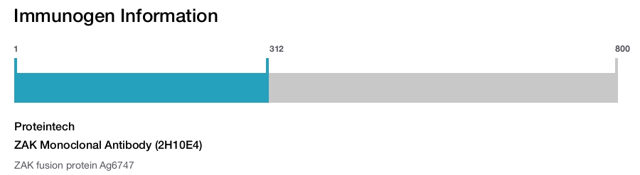 ZAK Monoclonal Antibody (2H10E4)
