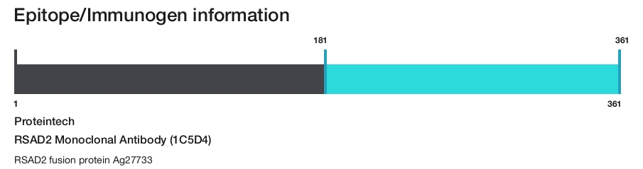 RSAD2 Monoclonal Antibody (1C5D4)