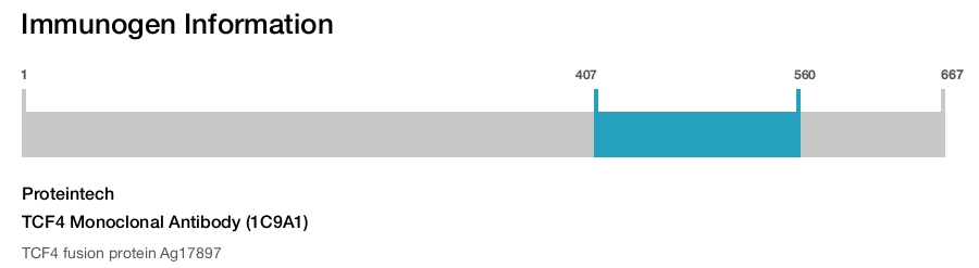 TCF4 Monoclonal Antibody (1C9A1)