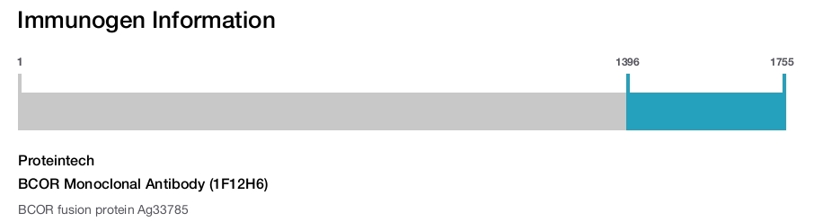 BCOR Monoclonal Antibody (1F12H6)
