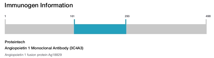 Angiopoietin 1 Monoclonal Antibody (3C4A3)