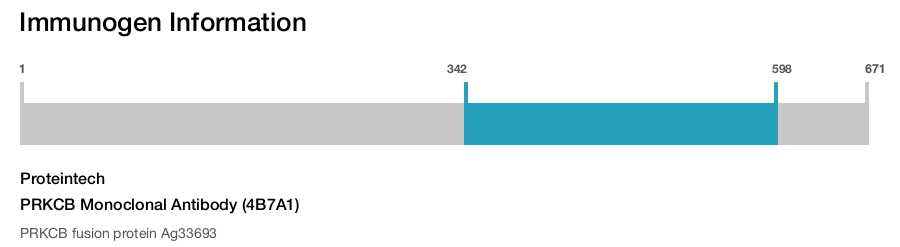 PRKCB Monoclonal Antibody (4B7A1)