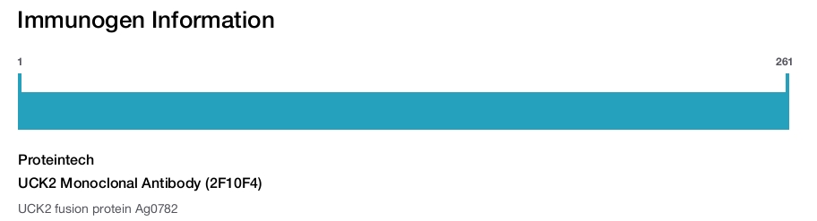 UCK2 Monoclonal Antibody (2F10F4)