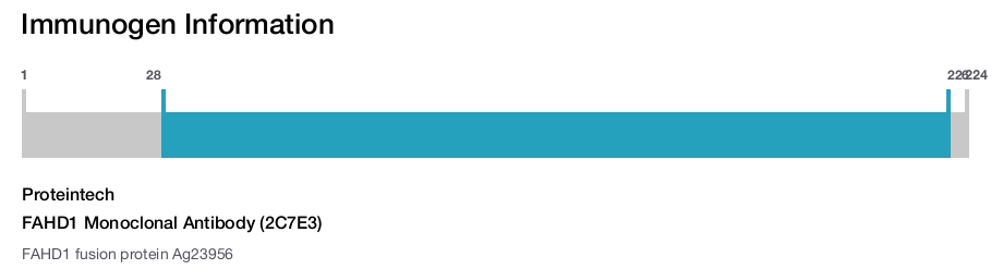 FAHD1 Monoclonal Antibody (2C7E3)
