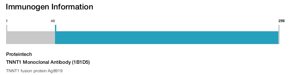 TNNT1 Monoclonal Antibody (1B1D5)